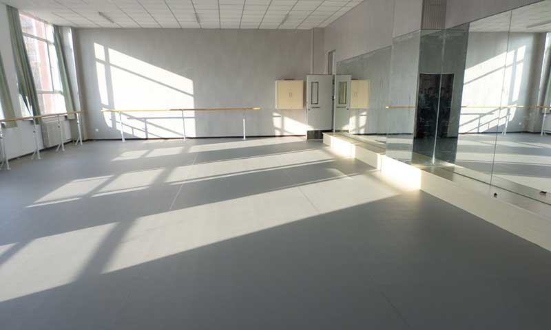 河北石家莊荔枝紋運動地板 河北石家莊荔枝紋運動地板