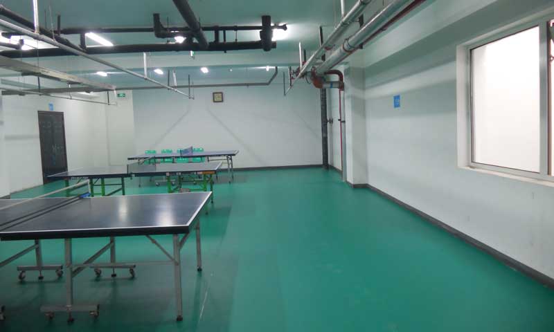 乒乓球館專用地膠 乒乓球館專用地膠企業和經銷商唇齒相依