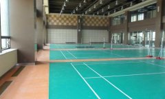 山東省濟(jì)南全運(yùn)村羽毛球地膠